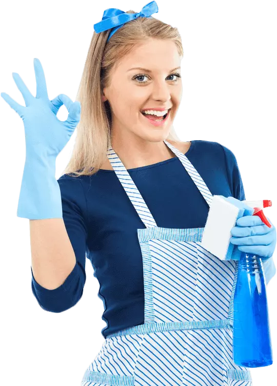Cleaning Service